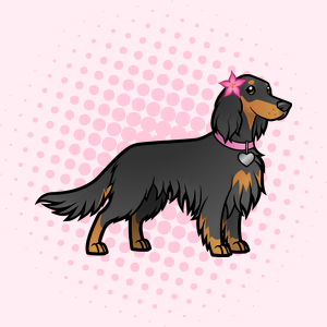 Pippa's Mobile Pet Salon